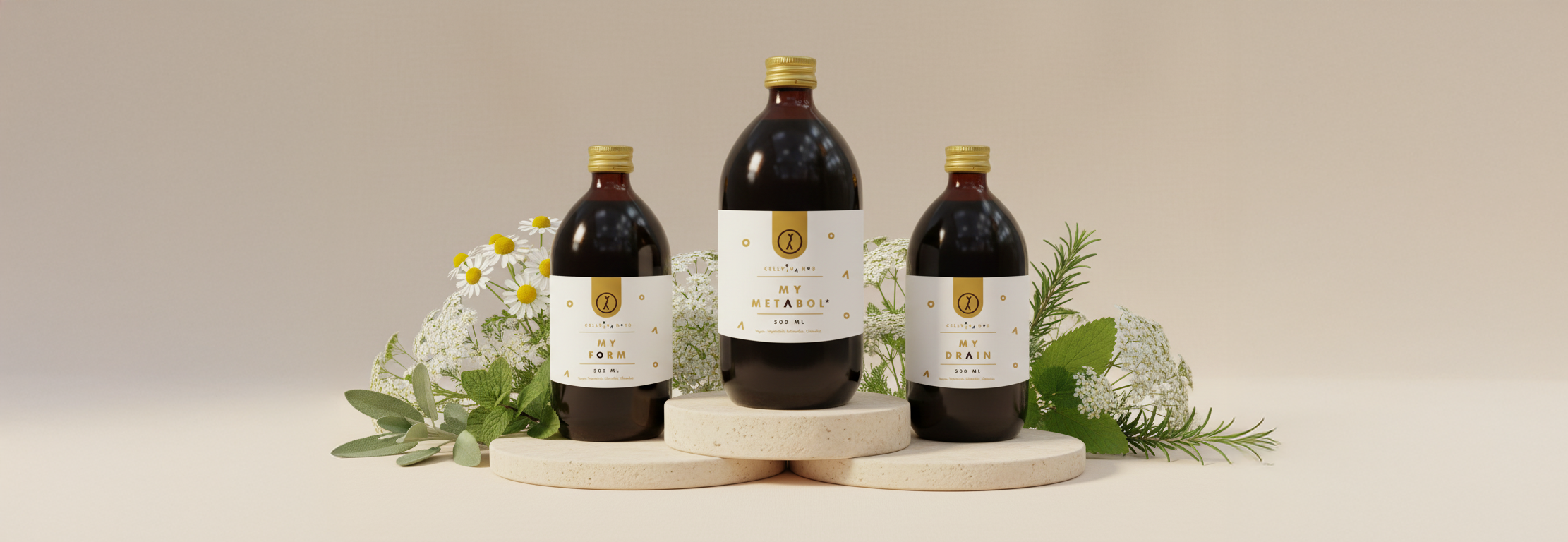 collection-banner-image